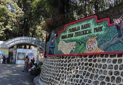 Padmaja Naidu Himalayan Zoological Park