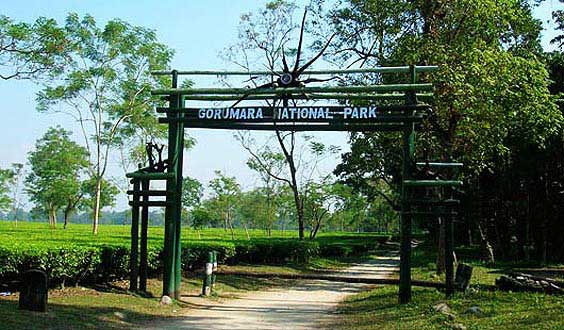 Gorumara National Park