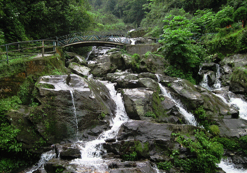 Darjeeling Rock Garder