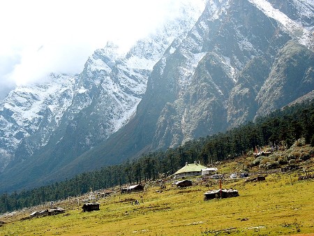 Yamthang Valley of Sikkim